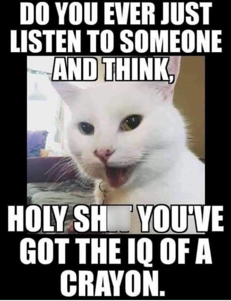DO YOU EVER JUST LISTEN TO SOMEONE AND THINK, HOLY SHYOU'VE GOT THE IQ OF A CRAYON.