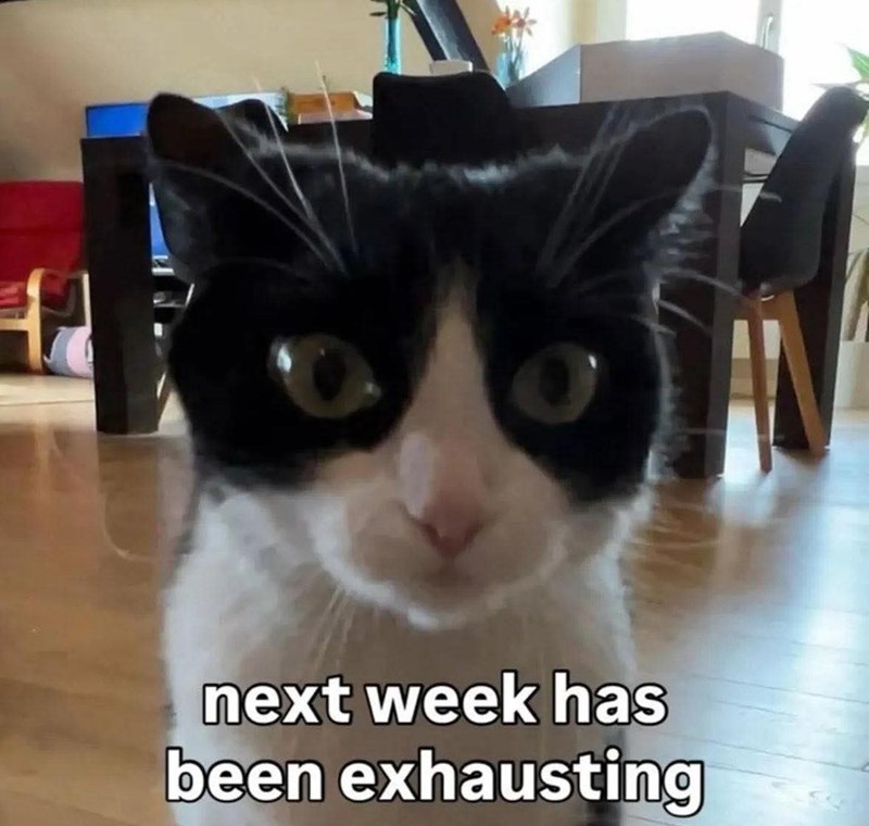 next week has been exhausting