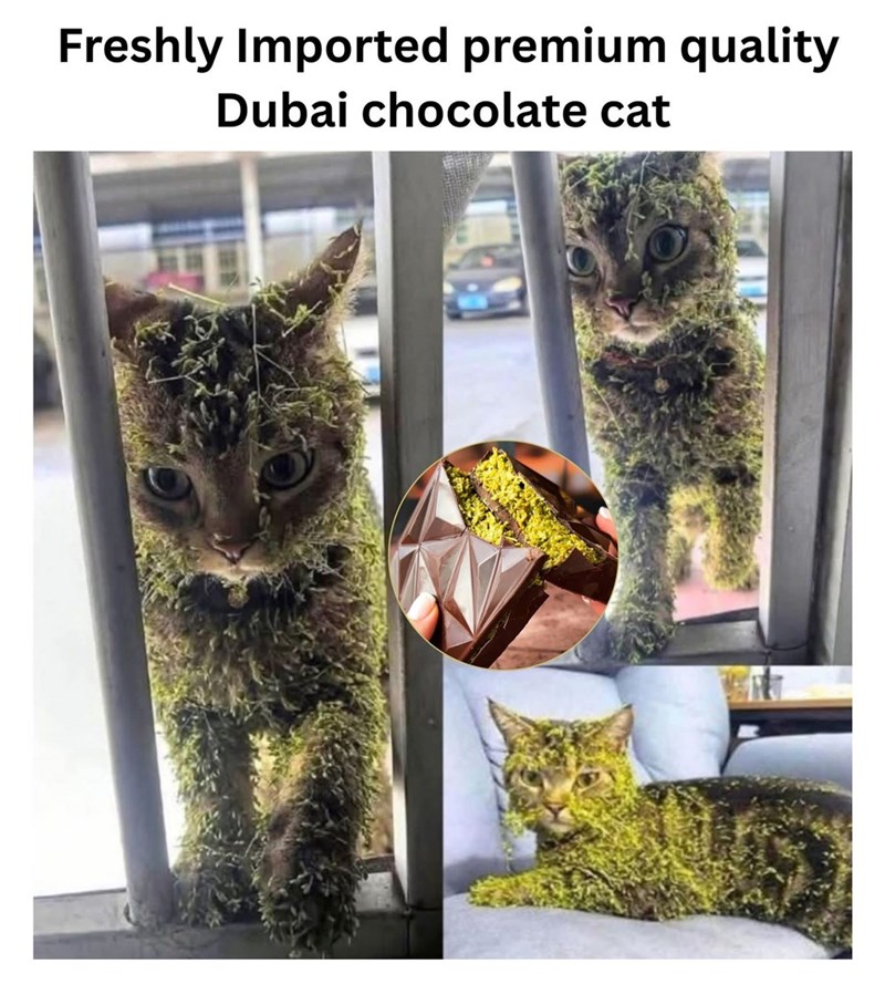 Freshly Imported premium quality Dubai chocolate cat