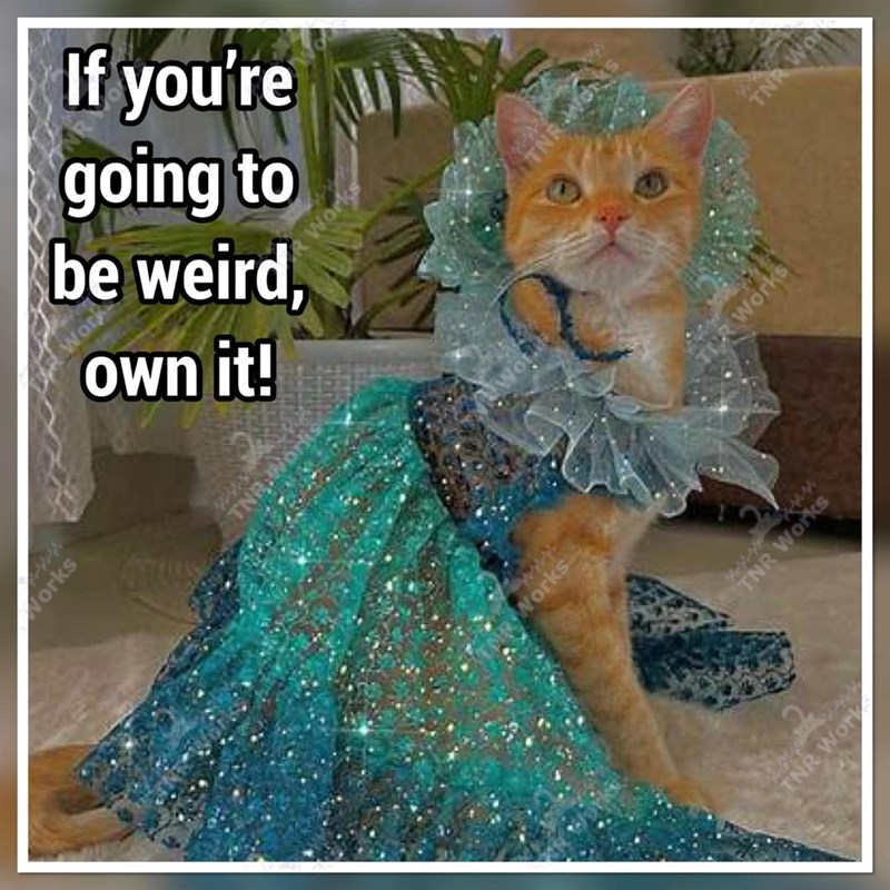 Works If you're RVO be weird going to Work own it! Works Works TIR Works TNR Works TNR Work TNR WO