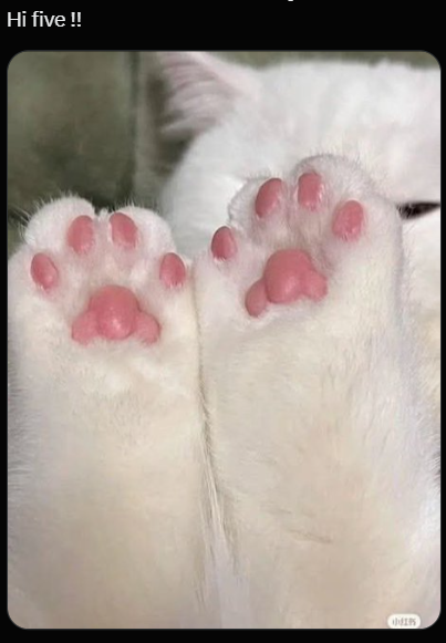 Hi five !! HELPS