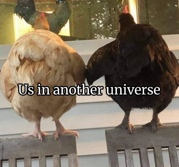 Us in another universe