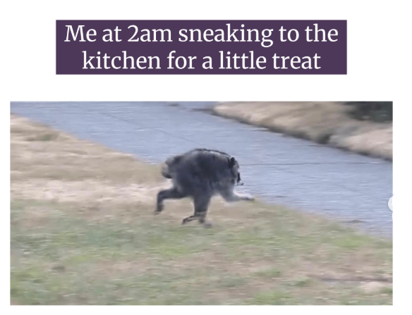 Me at 2am sneaking to the kitchen for a little treat