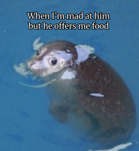 When I'm mad at him but he offers me food