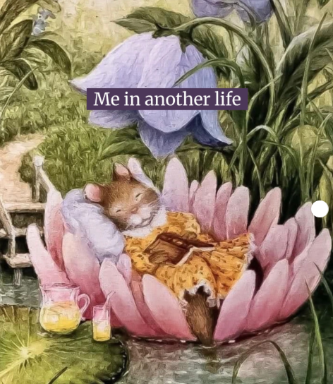 Me in another life