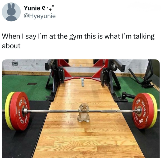 Yunie e ++° @Hyeyunie When I say I'm at the gym this is what I'm talking about SCAPE 92 25