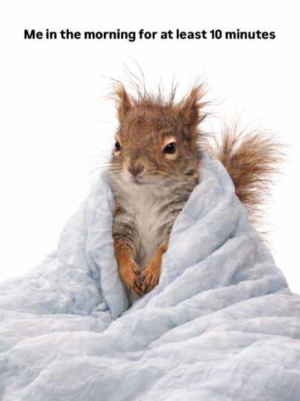 Me in the morning for at least 10 minutes