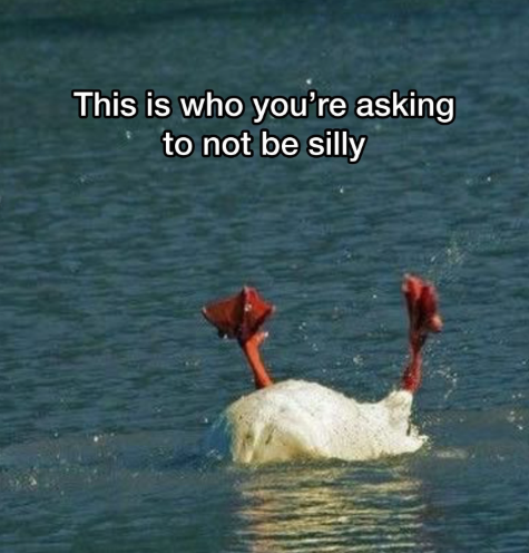 This is who you're asking to not be silly