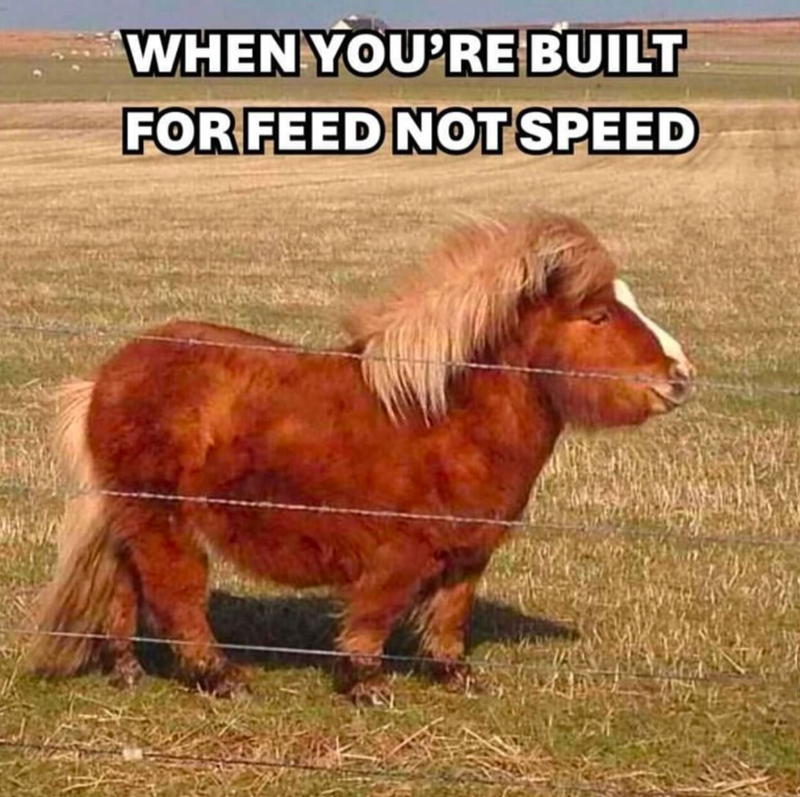 WHEN YOU'RE BUILT FOR FEED NOT SPEED