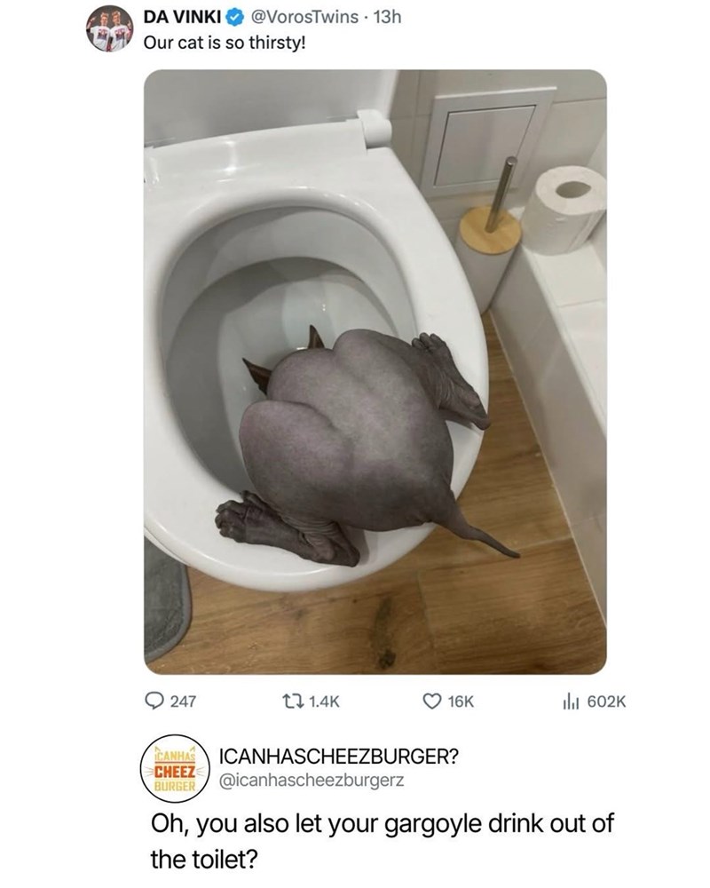 DA VINKI @VorosTwins. 13h Our cat is so thirsty! 19 247 1.4K 16K 602K CANHAS CHEEZ BURGER ICANHASCHEEZBURGER? @icanhascheezburgerz Oh, you also let your gargoyle drink out of the toilet?