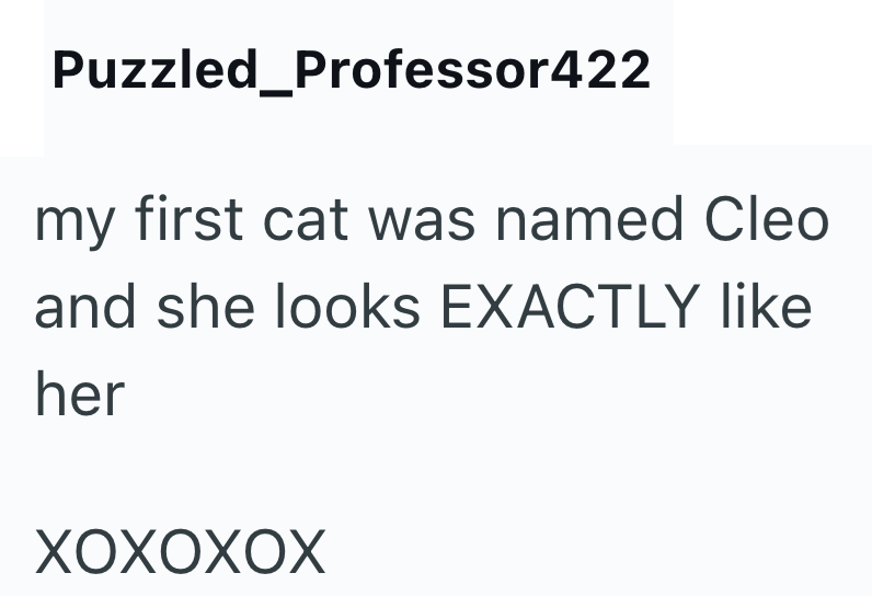 Puzzled_Professor422 my first cat was named Cleo and she looks EXACTLY like her XOXOXOX
