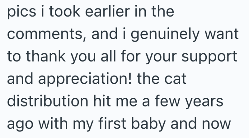 pics i took earlier in the comments, and i genuinely want to thank you all for your support and appreciation! the cat distribution hit me a few years ago with my first baby and now