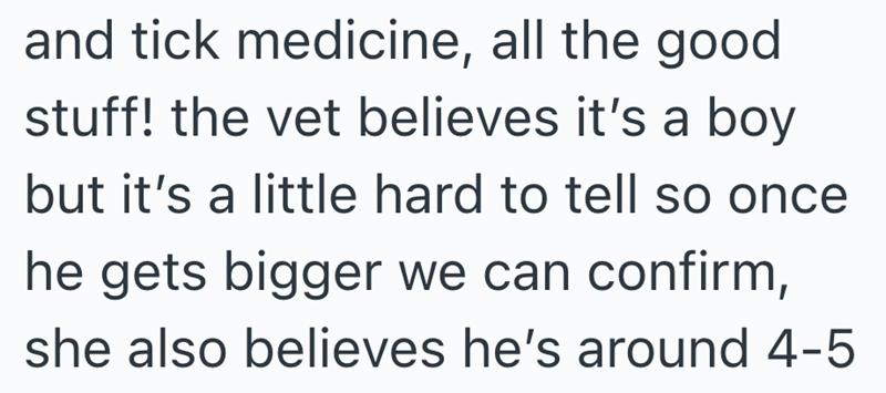 and tick medicine, all the good stuff! the vet believes it's a boy but it's a little hard to tell so once he gets bigger we can confirm, she also believes he's around 4-5