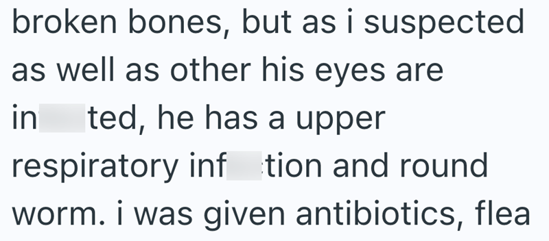 broken bones, but as i suspected as well as other his eyes are in ted, he has a upper respiratory inf tion and round worm. i was given antibiotics, flea