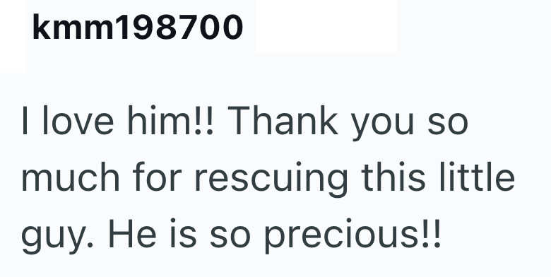 kmm198700 I love him!! Thank you so much for rescuing this little guy. He is so precious!!