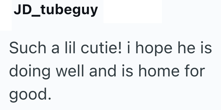 JD_tubeguy Such a lil cutie! i hope he is doing well and is home for good.