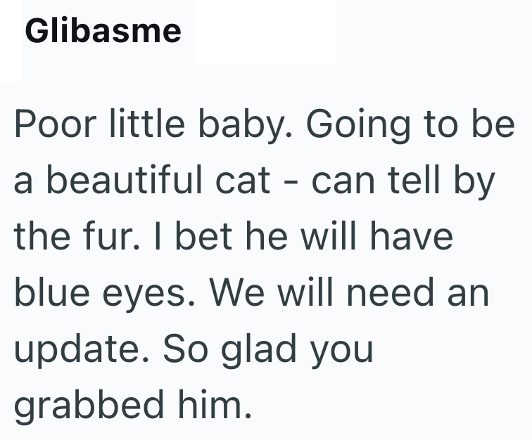 Glibasme Poor little baby. Going to be a beautiful cat - can tell by the fur. I bet he will have blue eyes. We will need an update. So glad you grabbed him.