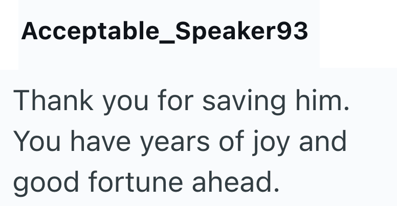 Acceptable_Speaker93 Thank you for saving him. You have years of joy and good fortune ahead.