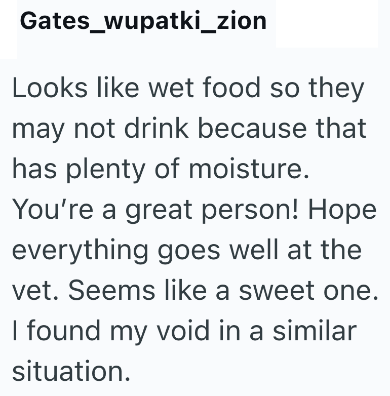 Gates_wupatki_zion Looks like wet food so they may not drink because that has plenty of moisture. You're a great person! Hope everything goes well at the vet. Seems like a sweet one. I found my void in a similar situation.