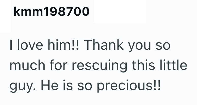 kmm198700 I love him!! Thank you so much for rescuing this little guy. He is so precious!!