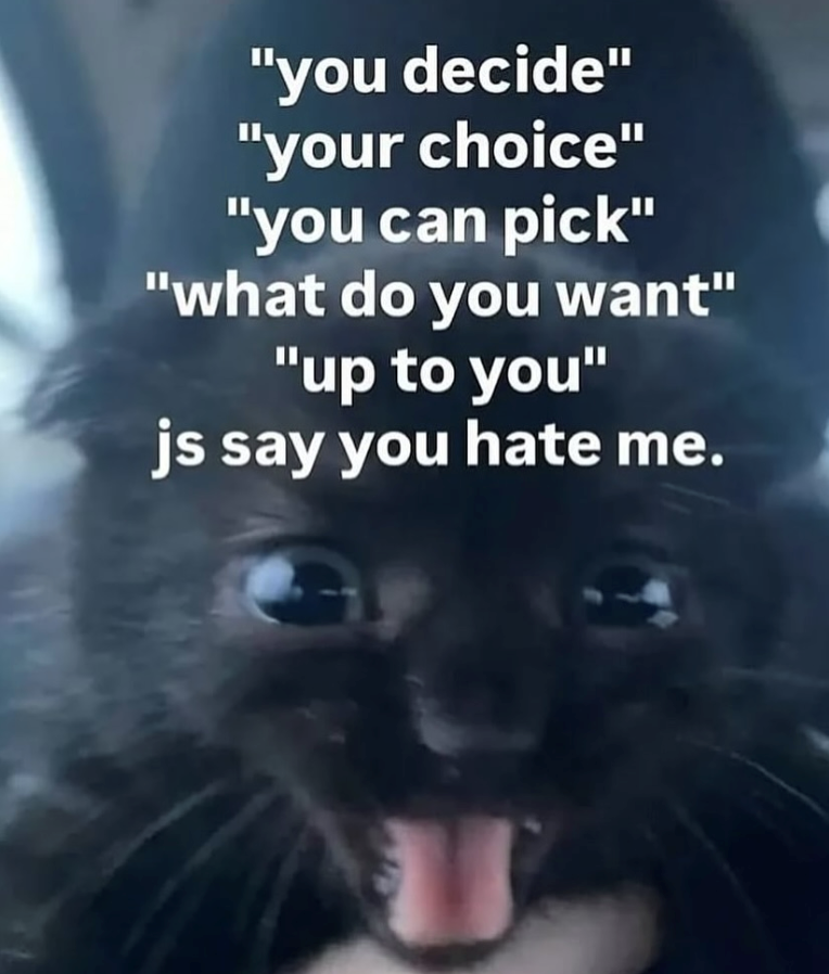 "you decide" "your choice" "you can pick" "what do you want" "up to you" js say you hate me.
