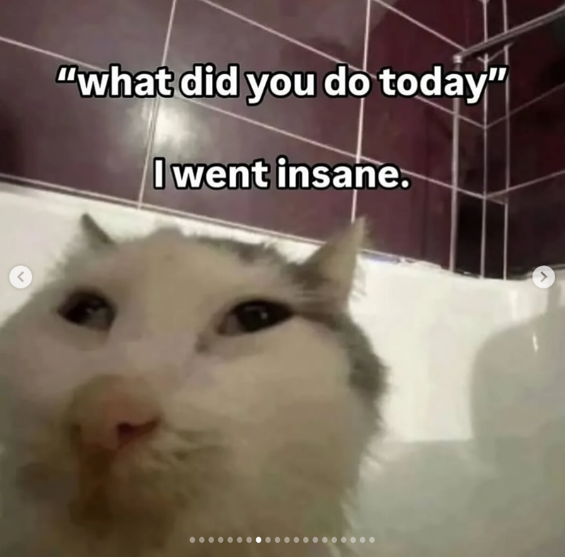 < "what did you do today" I went insane. >