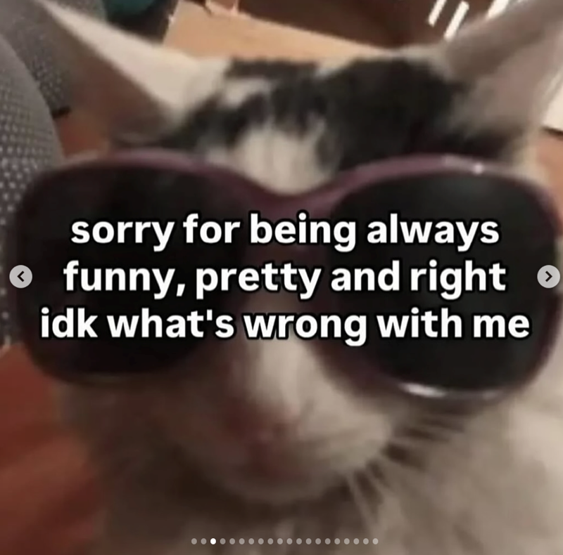 < sorry for being always funny, pretty and right idk what's wrong with me ر