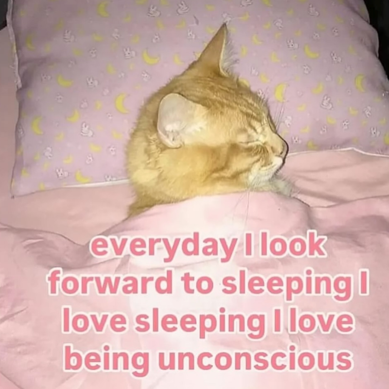 everyday I look forward to sleeping | love sleeping I love being unconscious