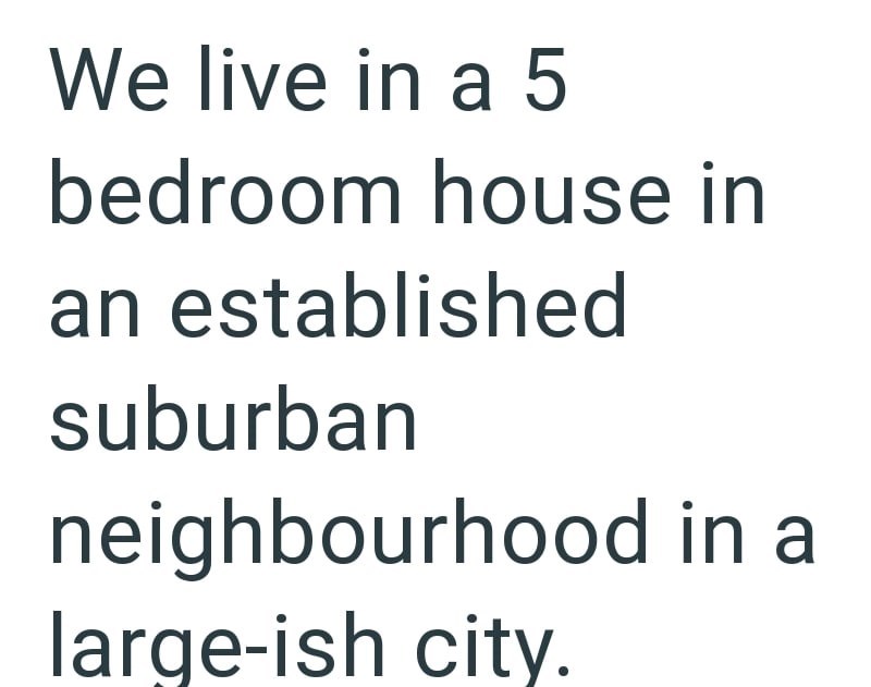 We live in a 5 bedroom house in an established suburban neighbourhood in a large-ish city.