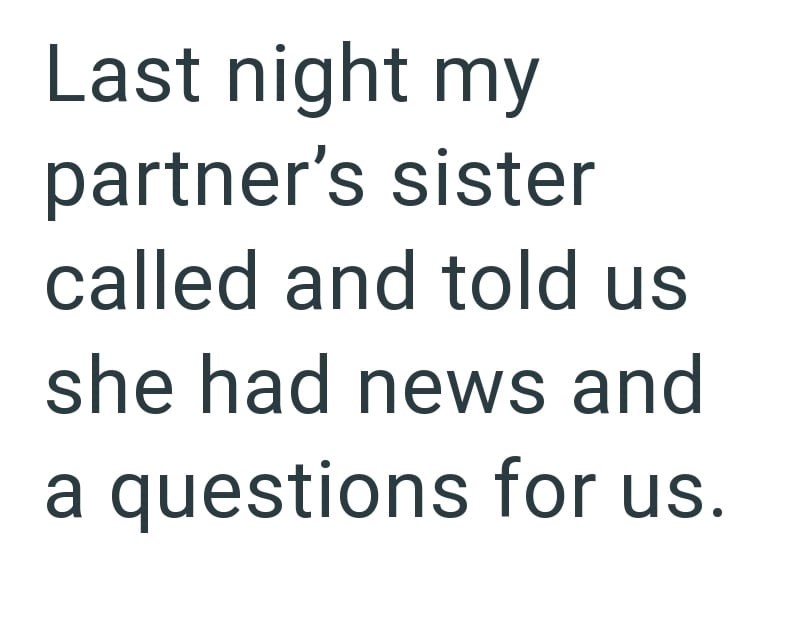 Last night my partner's sister called and told us she had news and a questions for us.