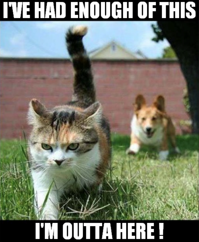 I'VE HAD ENOUGH OF THIS I'M OUTTA HERE!