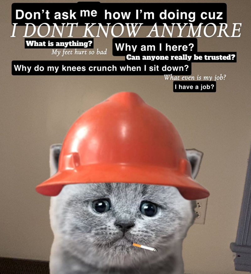 Don't ask me how I'm doing cuz I DONT KNOW ANYMORE What is anything? My feet hurt so bad Why am I here? Can anyone really be trusted? Why do my knees crunch when I sit down? What even is my job? I have a job?