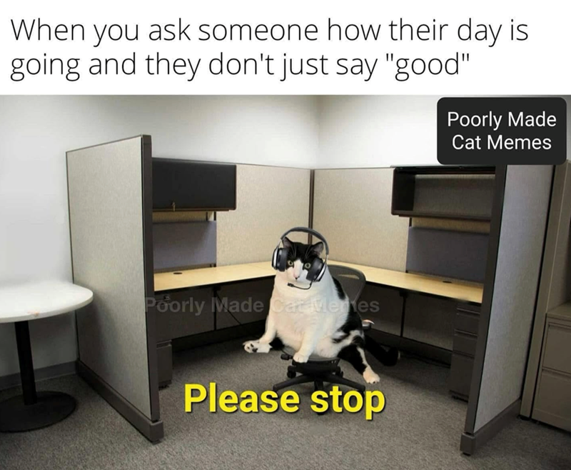 When you ask someone how their day is going and they don't just say "good" Poorly Made Cat Memes Poorly Made Cat Memes Please stop