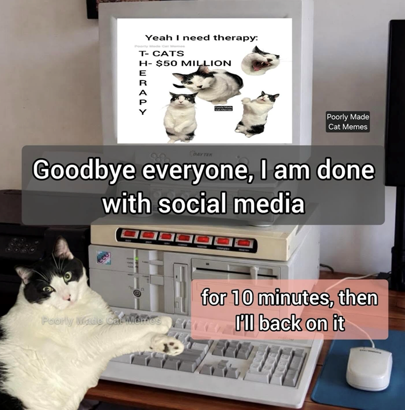 Yeah I need therapy: T-CATS H- $50 MILLION HERAPY Poorly Made Cat Memes DAY TEK Goodbye everyone, I am done with social media for 10 minutes, then Poorly Made Cat Memes I'll back on it
