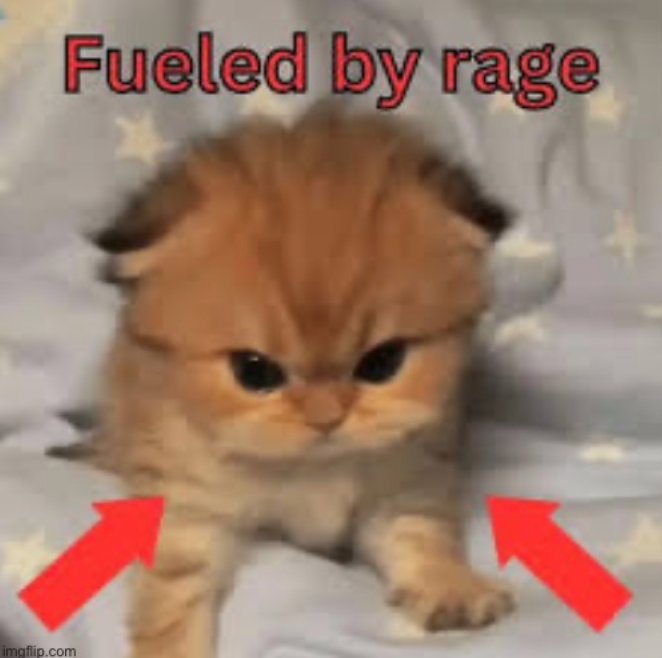 Fueled by rage imgflip.com