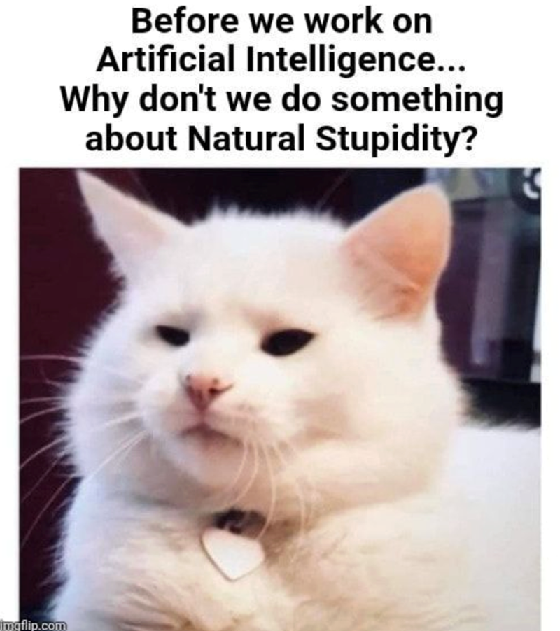 Before we work on Artificial Intelligence... Why don't we do something about Natural Stupidity? imgflip.com