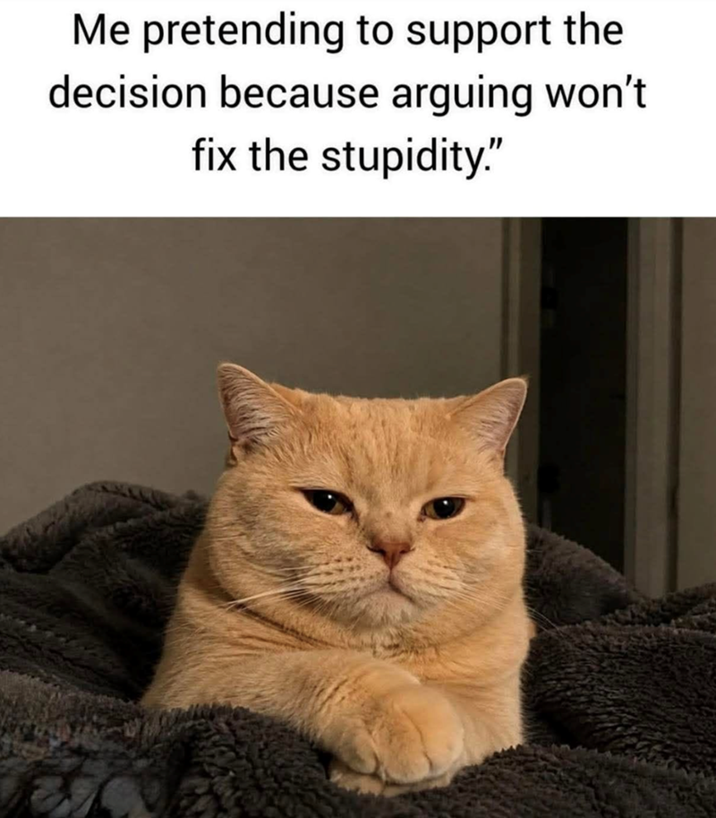 Me pretending to support the decision because arguing won't fix the stupidity."
