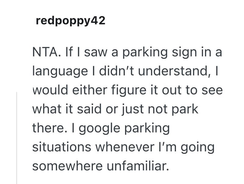 redpoppy42 NTA. If I saw a parking sign in a language I didn't understand, I would either figure it out to see what it said or just not park there. I google parking situations whenever I'm going somewhere unfamiliar.