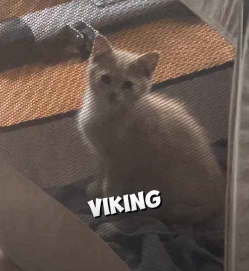 VIKING