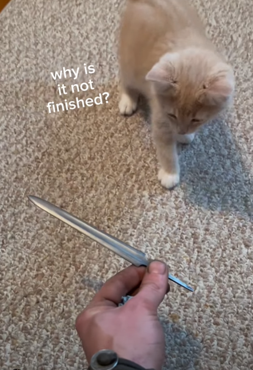 why is it not finished?