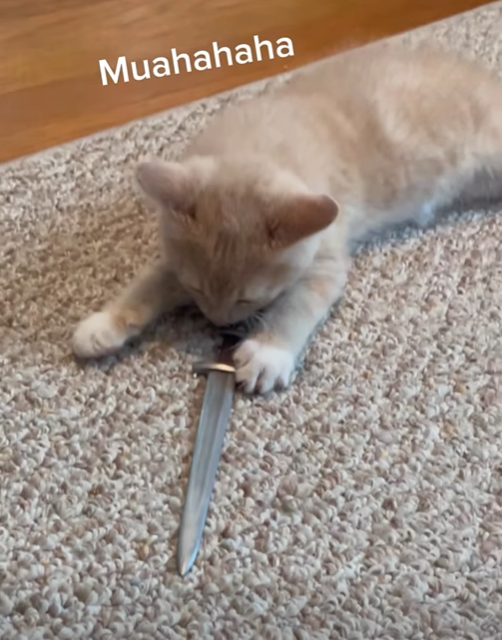 Muahahaha