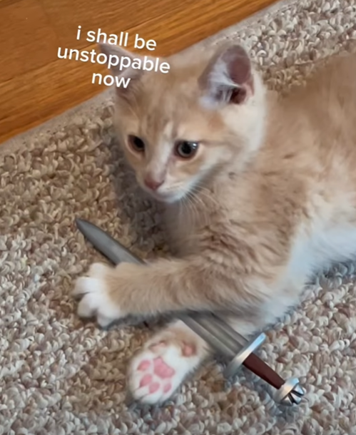 i shall be unstoppable now