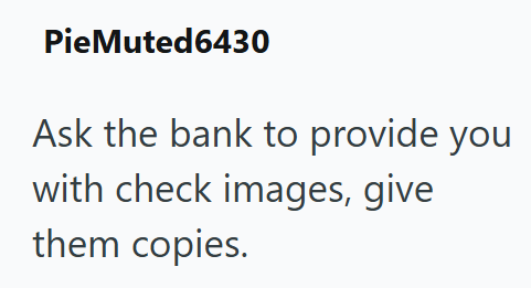 PieMuted6430 Ask the bank to provide you with check images, give them copies.