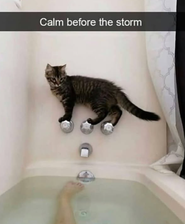 Calm before the storm