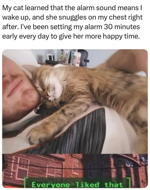 My cat learned that the alarm sound means I wake up, and she snuggles on my chest right after. I've been setting my alarm 30 minutes early every day to give her more happy time. Everyone liked that