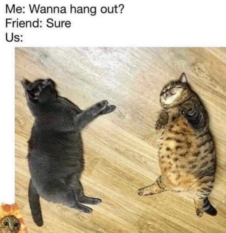 Me: Wanna hang out? Friend: Sure Us: