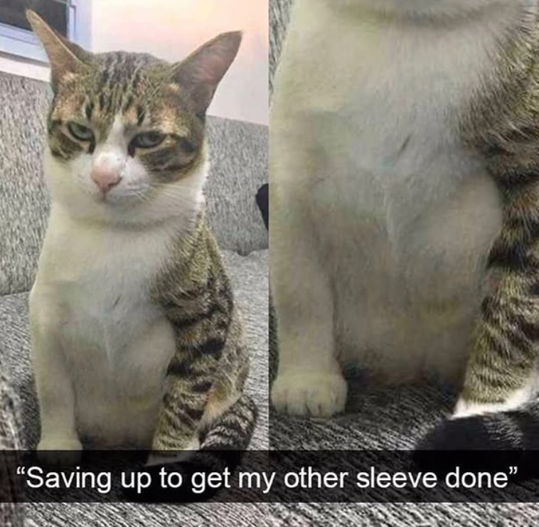 "Saving up to get my other sleeve done"