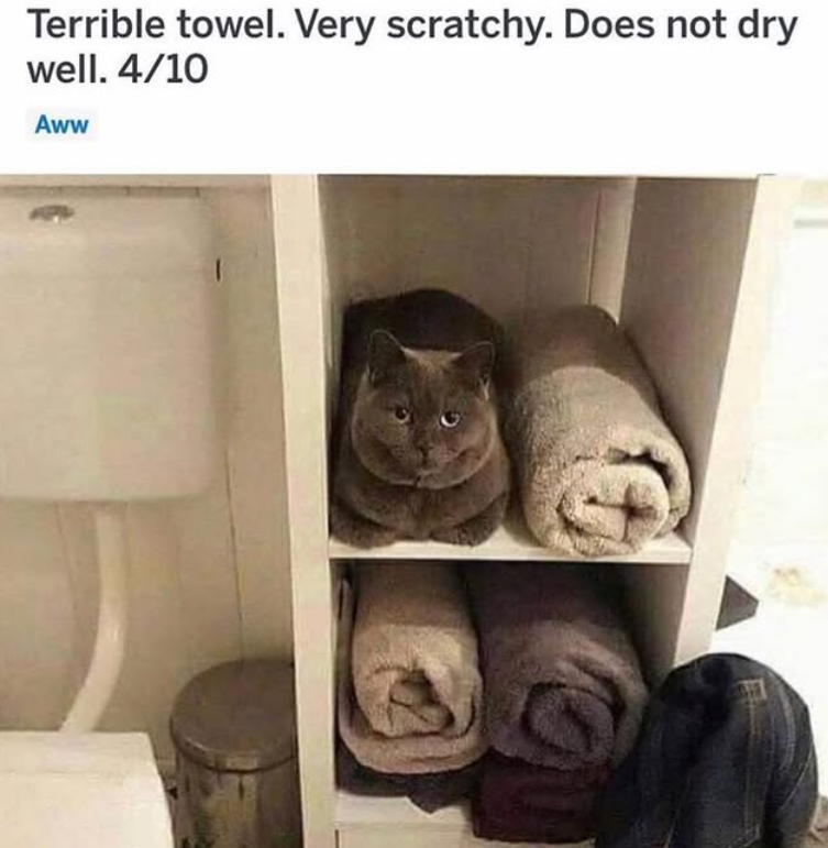 Terrible towel. Very scratchy. Does not dry well. 4/10 Aww