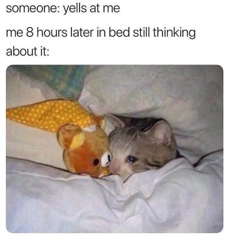 someone: yells at me me 8 hours later in bed still thinking about it: