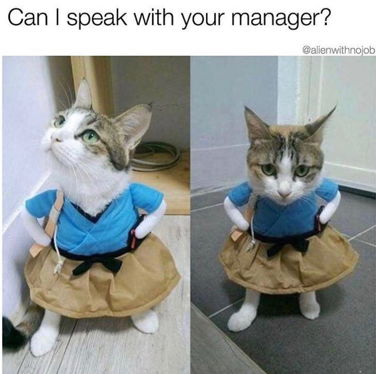 Can I speak with your manager? @alienwithnojob